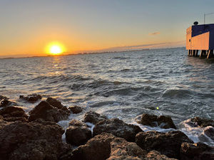 Meet your Posher, Nicolinasaccomanno